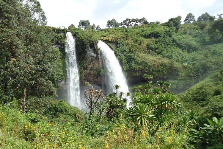 MOUNTAIN  ELGON NATIONAL PARK